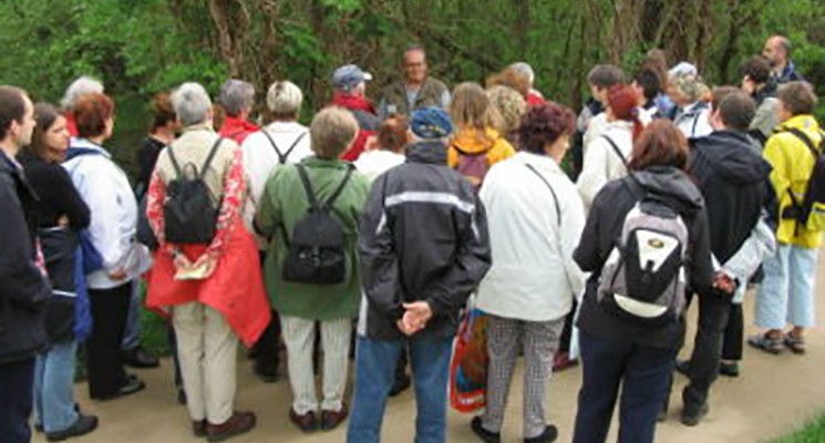 Wildkräuterführung