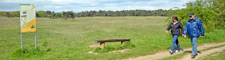 Spazieren & Wandern in Mombach