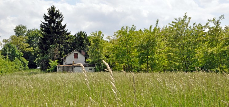Kleiner Mainzer Höhenweg