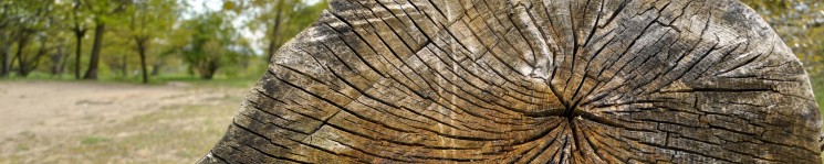 Naturschutzgebiet 