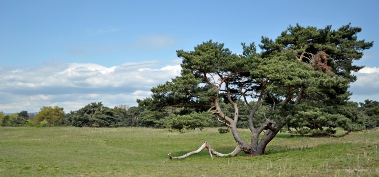 Naturschutzgebiet 